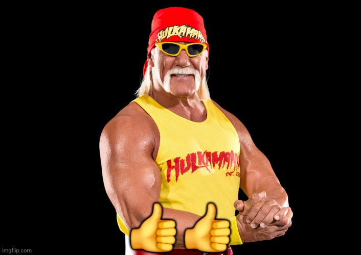 Hulk Hogan | 👍👍 | image tagged in memes,wwe,hulk hogan | made w/ Imgflip meme maker