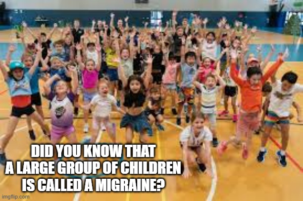 memes by Brad - A group of children is called a migraine | DID YOU KNOW THAT A LARGE GROUP OF CHILDREN IS CALLED A MIGRAINE? | image tagged in funny,fun,funny names,children,humor,dad joke | made w/ Imgflip meme maker