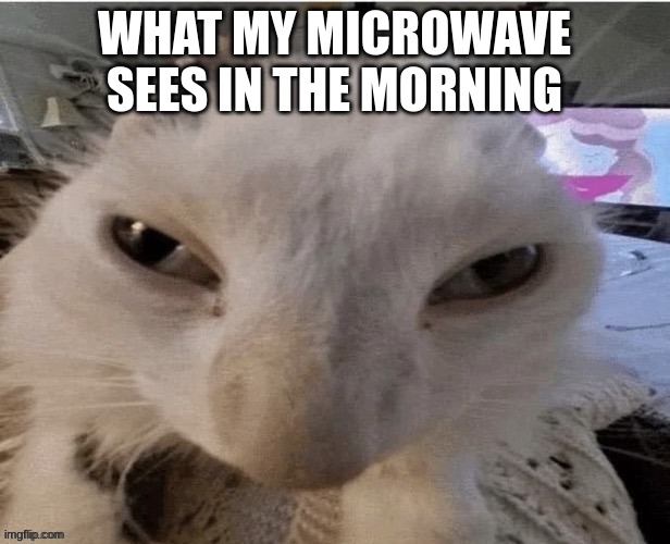 about to have some leftovers          pls no hate :>  (the_BLOCK) | WHAT MY MICROWAVE SEES IN THE MORNING | image tagged in what the microwave sees,the_block,funny,memes | made w/ Imgflip meme maker