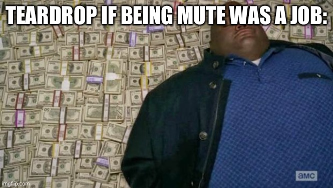 huell money | TEARDROP IF BEING MUTE WAS A JOB: | image tagged in huell money | made w/ Imgflip meme maker