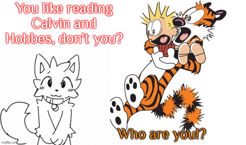 Cameo appearance. | You like reading
Calvin and Hobbes, don't you? Who are you!? | image tagged in blank white template blank white template you're right i am a b,crossover,funny cat,boykisser | made w/ Imgflip meme maker