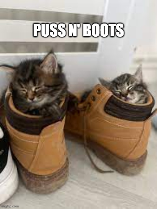 memes by Brad - These cats are puss 'n boots | PUSS N' BOOTS | image tagged in funny,cats,cute kittens,kitten,humor,funny cat memes | made w/ Imgflip meme maker