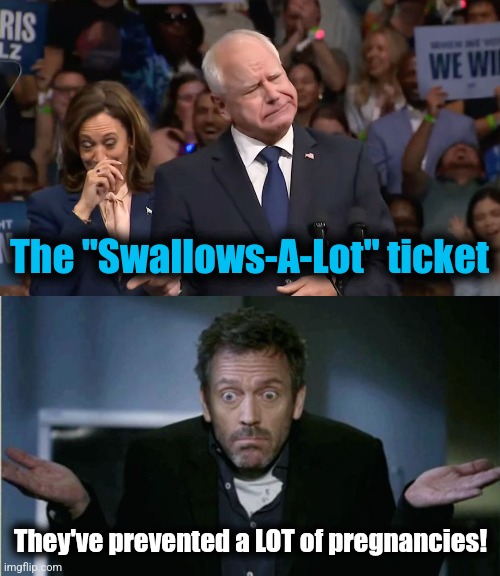 And undoubtedly at least a few abortions! | The "Swallows-A-Lot" ticket; They've prevented a LOT of pregnancies! | image tagged in tim walz and kamala harris,shrug,memes,democrats,swallows a lot | made w/ Imgflip meme maker