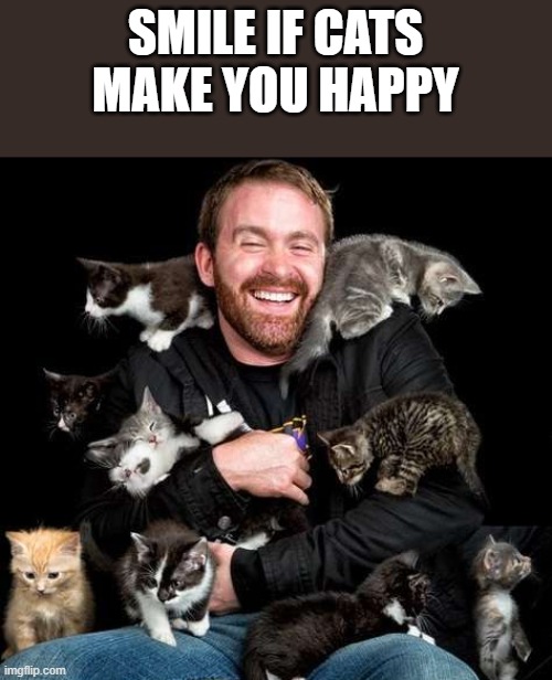 If Cats Make You Happy | SMILE IF CATS MAKE YOU HAPPY | image tagged in smile,smiling,cats,happy,funny,memes | made w/ Imgflip meme maker