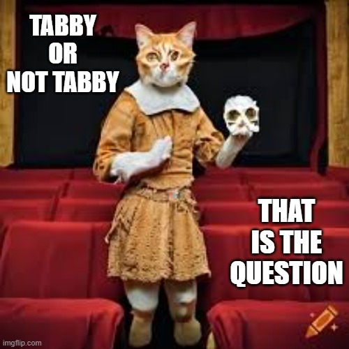 memes by Brad - My cat doing Shakespeare | TABBY OR NOT TABBY; THAT IS THE QUESTION | image tagged in funny,cats,kitten,shakespeare,play on words,humor | made w/ Imgflip meme maker