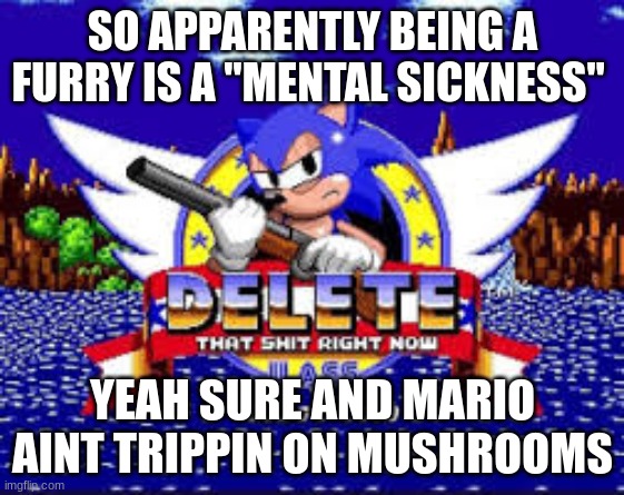 DELETE THIS SHIT RIGHT NOW | SO APPARENTLY BEING A FURRY IS A "MENTAL SICKNESS"; YEAH SURE AND MARIO AINT TRIPPIN ON MUSHROOMS | image tagged in delete this shit right now | made w/ Imgflip meme maker