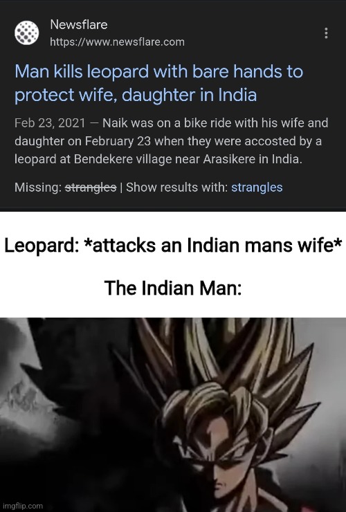 This is real btw, his name was Naik I think | Leopard: *attacks an Indian mans wife*
 
The Indian Man: | image tagged in goku staring | made w/ Imgflip meme maker