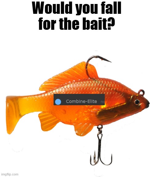 would you fall for the bait. | image tagged in would you fall for the bait | made w/ Imgflip meme maker