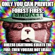 ONLY YOU CAN PREVENT FOREST FIRES.. UNLESS LIGHTNING STARTS THE FIRE. THEN YOU ARE NOT LIABLE. | made w/ Imgflip meme maker