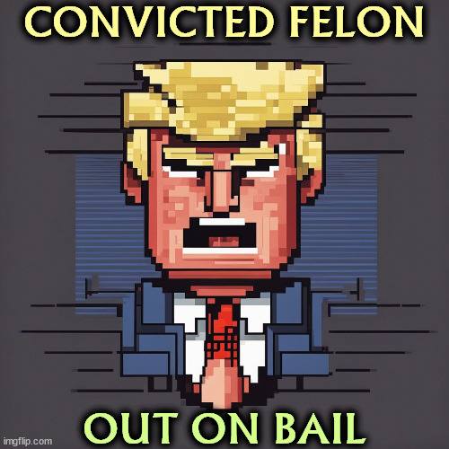 CONVICTED FELON; OUT ON BAIL | image tagged in trump,convicted felon,criminal,bail | made w/ Imgflip meme maker