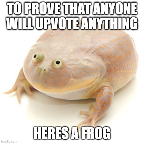 Prove me wrong! | TO PROVE THAT ANYONE WILL UPVOTE ANYTHING; HERES A FROG | image tagged in memes,prove me wrong | made w/ Imgflip meme maker