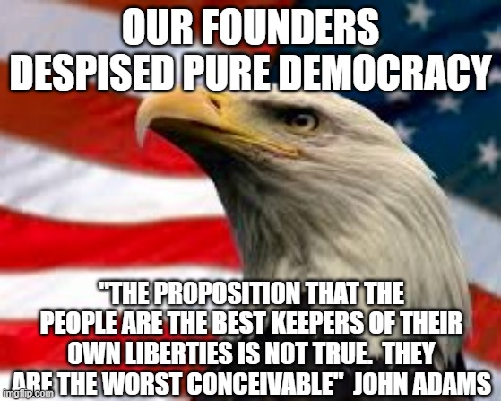 history lesson | OUR FOUNDERS DESPISED PURE DEMOCRACY; "THE PROPOSITION THAT THE PEOPLE ARE THE BEST KEEPERS OF THEIR OWN LIBERTIES IS NOT TRUE.  THEY ARE THE WORST CONCEIVABLE"  JOHN ADAMS | image tagged in murica patriotic eagle | made w/ Imgflip meme maker