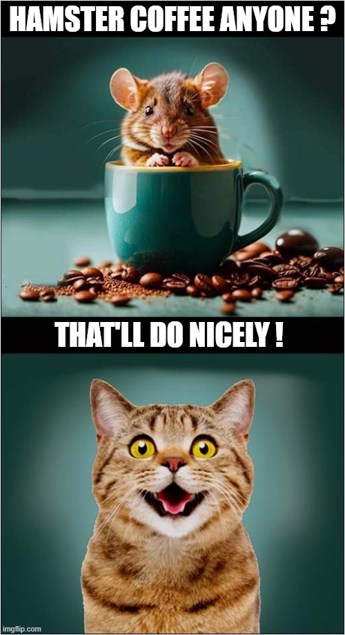 A Tasty Beverage ! | HAMSTER COFFEE ANYONE ? THAT'LL DO NICELY ! | image tagged in cats,hamster,coffee | made w/ Imgflip meme maker