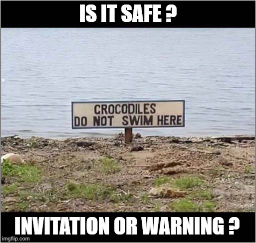 Fancy A Swim ? | IS IT SAFE ? INVITATION OR WARNING ? | image tagged in stupid signs,crocodile,is it safe,you decide | made w/ Imgflip meme maker