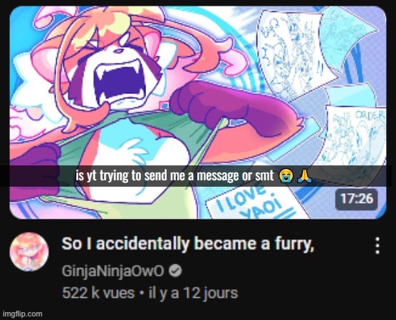 Accidentally became a furry | image tagged in accidentally became a furry | made w/ Imgflip meme maker