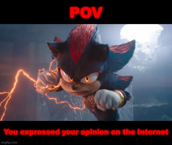 Welcome to the Internet, where expressing your opinion is not at all an option! | POV; You expressed your opinion on the Internet | image tagged in shadow boutta attack,opinions,internet,hey internet,keanu reeves,sonic the hedgehog | made w/ Imgflip meme maker