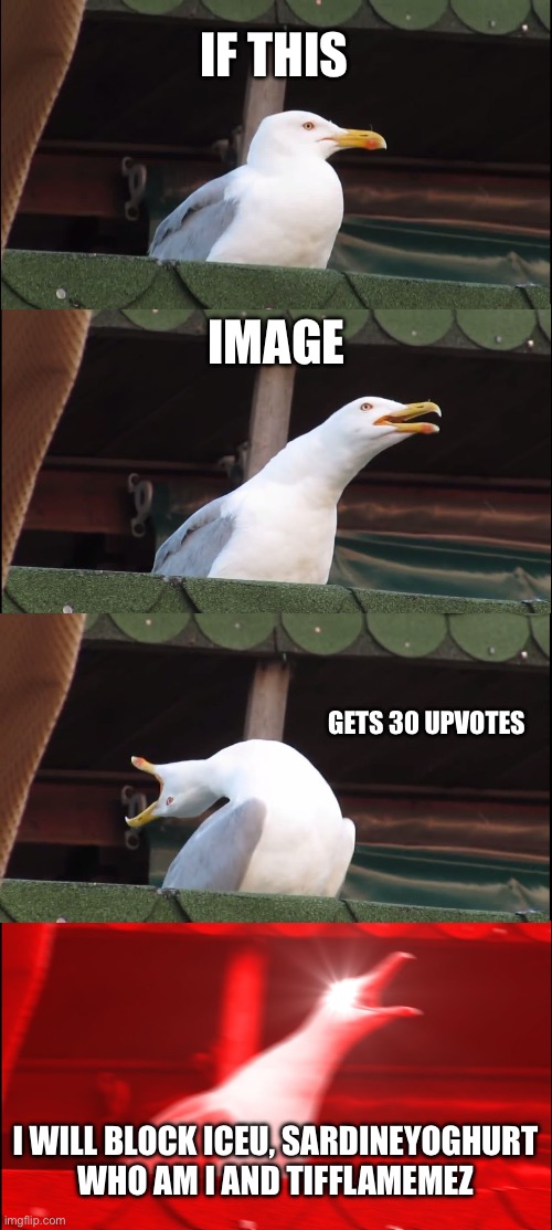 Inhaling Seagull | IF THIS; IMAGE; GETS 30 UPVOTES; I WILL BLOCK ICEU, SARDINEYOGHURT WHO AM I AND TIFFLAMEMEZ | image tagged in memes,inhaling seagull | made w/ Imgflip meme maker