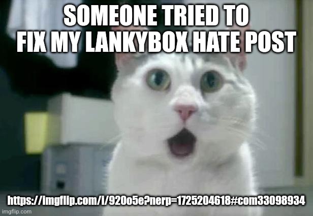 OMG Cat | SOMEONE TRIED TO FIX MY LANKYBOX HATE POST; https://imgflip.com/i/920o5e?nerp=1725204618#com33098934 | image tagged in memes,omg cat | made w/ Imgflip meme maker