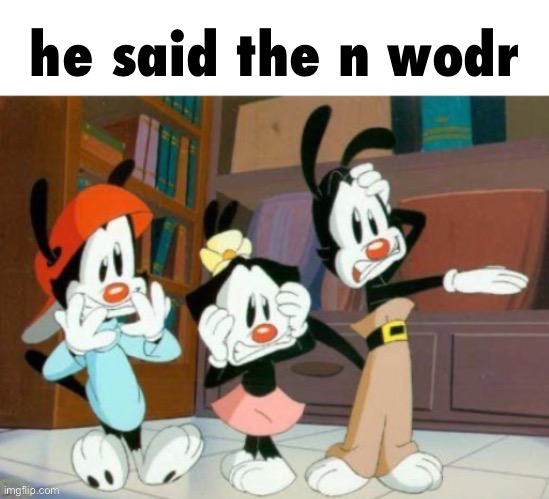 animaniacs he said the n wodr Blank Meme Template