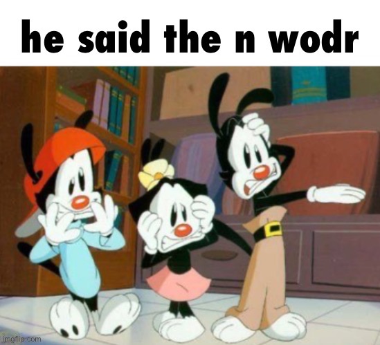 animaniacs he said the n wodr | image tagged in animaniacs he said the n wodr | made w/ Imgflip meme maker