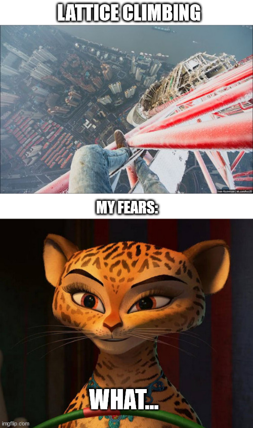 Climbing | LATTICE CLIMBING; MY FEARS:; WHAT... | image tagged in lattice climbing,gia the jaguar,madagascar,lion,climbing,random | made w/ Imgflip meme maker