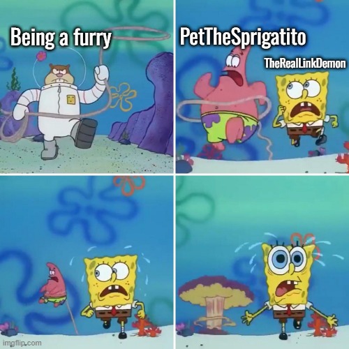 Why haven't I submitted this ? | Being a furry; PetTheSprigatito; TheRealLinkDemon | image tagged in spongebob lasso meme | made w/ Imgflip meme maker