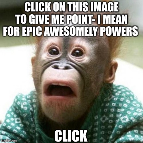 ching Chang chong | CLICK ON THIS IMAGE TO GIVE ME POINT- I MEAN FOR EPIC AWESOMELY POWERS; CLICK | image tagged in shocked monkey | made w/ Imgflip meme maker