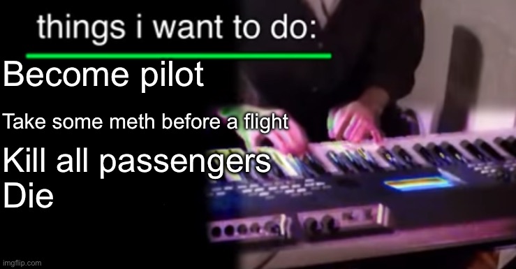 Things i want to do bill wurtz | Become pilot; Take some meth before a flight; Kill all passengers; Die | image tagged in things i want to do bill wurtz | made w/ Imgflip meme maker