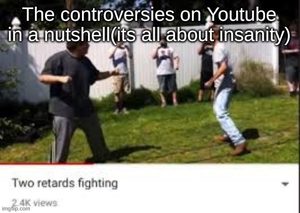 Two idiots fighting | The controversies on Youtube in a nutshell(its all about insanity) | image tagged in two idiots fighting | made w/ Imgflip meme maker