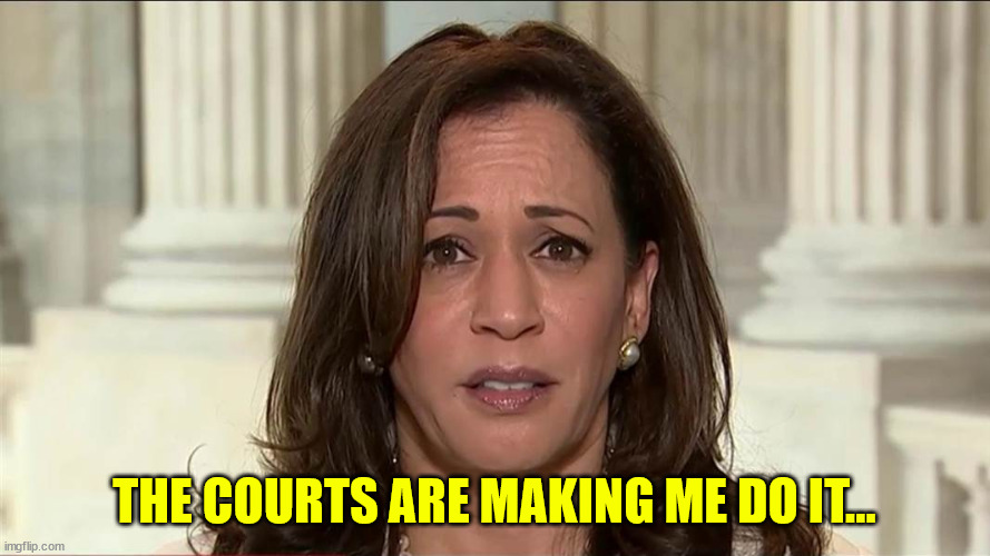 kamala harris | THE COURTS ARE MAKING ME DO IT... | image tagged in kamala harris | made w/ Imgflip meme maker