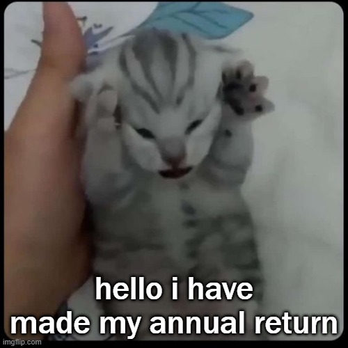 kitten cant take it | hello i have made my annual return | image tagged in kitten cant take it | made w/ Imgflip meme maker