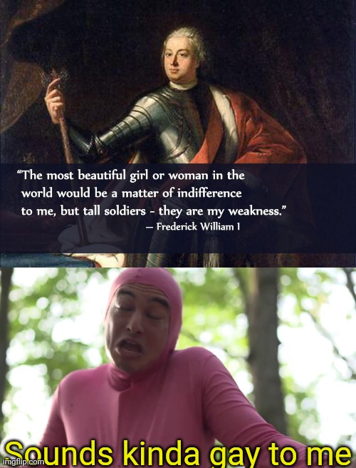 Sounds kinda gay to me | image tagged in sounds pretty gay | made w/ Imgflip meme maker