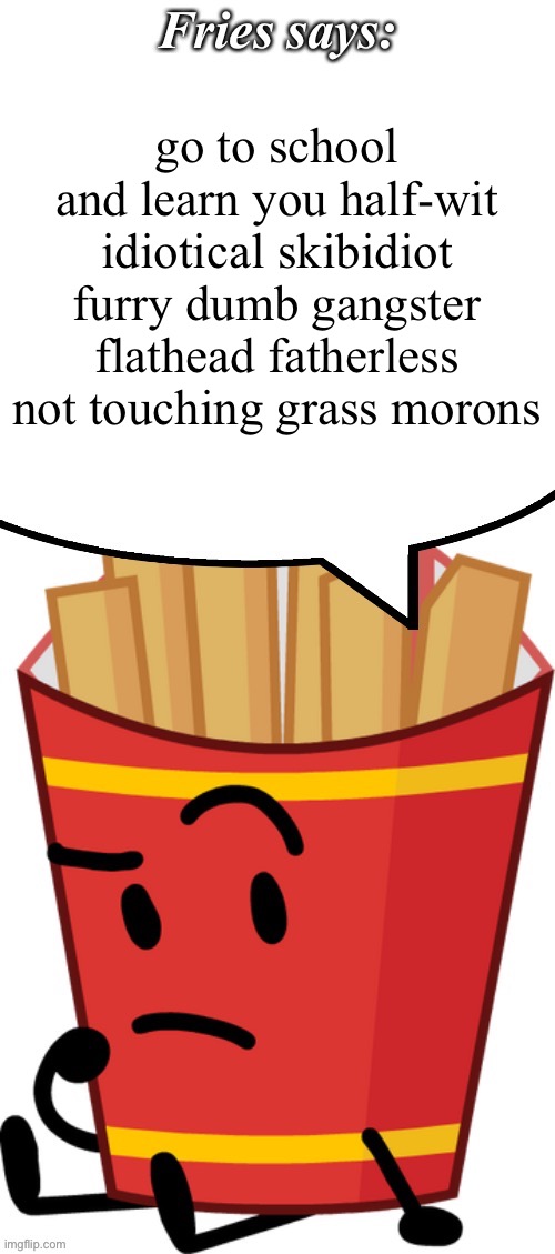 Fries says | go to school and learn you half-wit idiotical skibidiot furry dumb gangster flathead fatherless not touching grass morons | image tagged in fries says | made w/ Imgflip meme maker