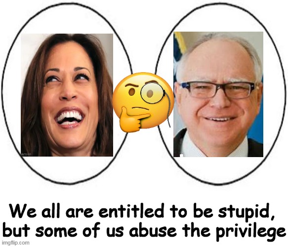 “I’m going to confess, I love Venn diagrams."  --  Kamala Harris | We all are entitled to be stupid, 
but some of us abuse the privilege | image tagged in political humor,kamala harris,tim walz,stupid,stupid people,special kind of stupid | made w/ Imgflip meme maker