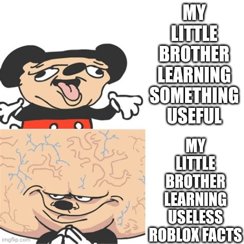 Mickey Mouse Smart Dumb | MY LITTLE BROTHER LEARNING USELESS ROBLOX FACTS; MY LITTLE BROTHER LEARNING SOMETHING USEFUL | image tagged in mickey mouse smart dumb | made w/ Imgflip meme maker