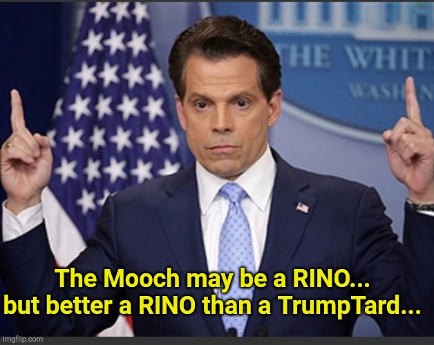 Scaramucci | The Mooch may be a RINO...
but better a RINO than a TrumpTard... | image tagged in scaramucci dance | made w/ Imgflip meme maker