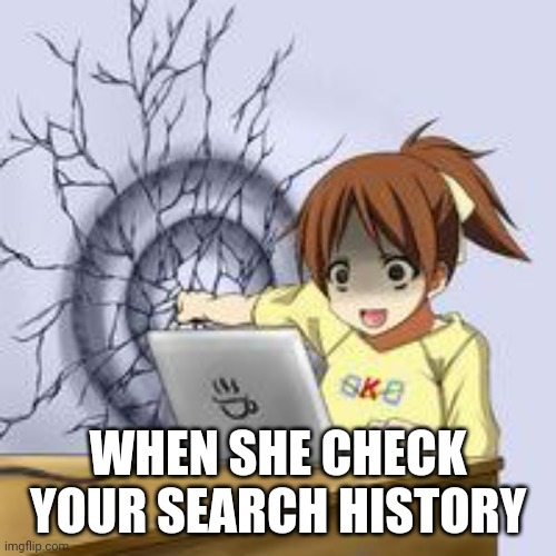 Search History | WHEN SHE CHECK YOUR SEARCH HISTORY | image tagged in anime wall punch | made w/ Imgflip meme maker