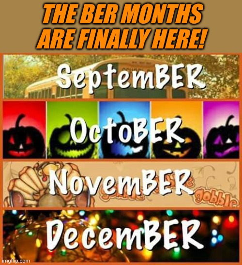 THE BEST TIME OF THE YEAR! | THE BER MONTHS ARE FINALLY HERE! | image tagged in september,october,november,december,fall | made w/ Imgflip meme maker