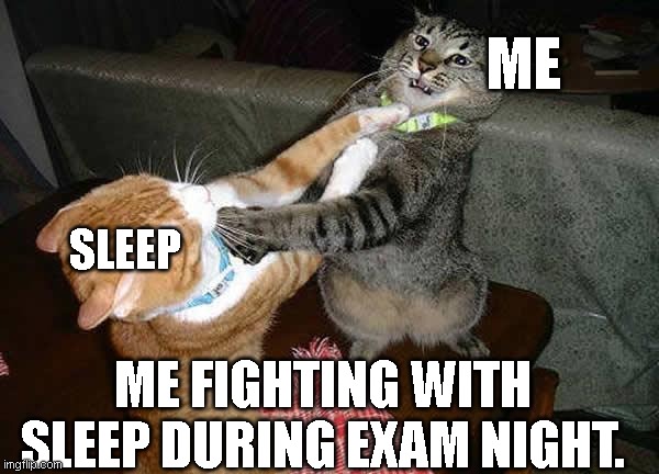 Me vs. Sleep | ME; SLEEP; ME FIGHTING WITH SLEEP DURING EXAM NIGHT. | image tagged in two cats fighting for real | made w/ Imgflip meme maker