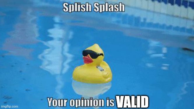 Splish Splash your opinion is trash | VALID | image tagged in splish splash your opinion is trash | made w/ Imgflip meme maker