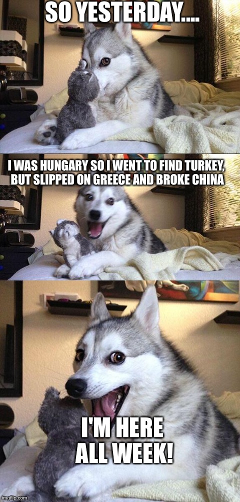 Bad Pun Dog | SO YESTERDAY.... I WAS HUNGARY SO I WENT TO FIND TURKEY, BUT SLIPPED ON GREECE AND BROKE CHINA I'M HERE ALL WEEK! | image tagged in memes,bad pun dog | made w/ Imgflip meme maker