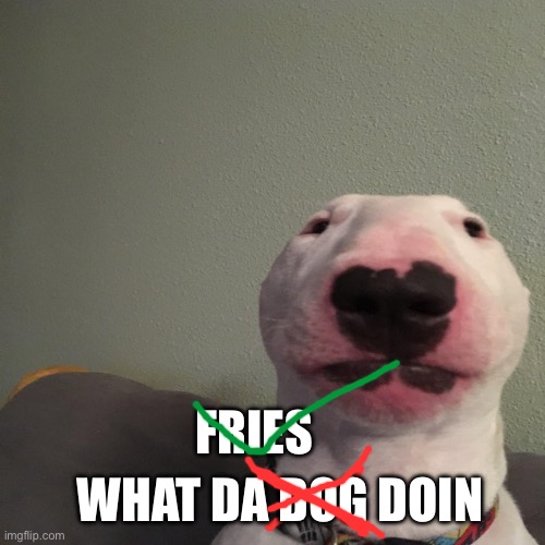 What da dog doing | WHAT DA DOG DOIN FRIES | image tagged in what da dog doing | made w/ Imgflip meme maker