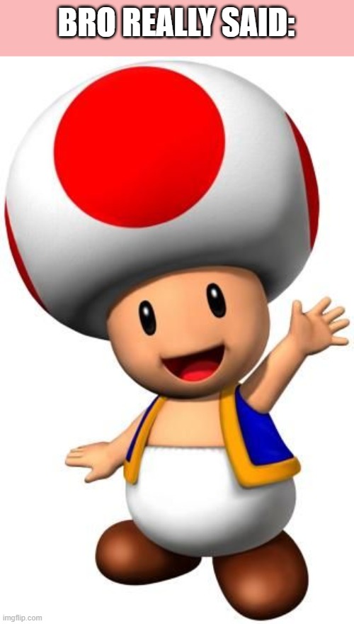 Toad | BRO REALLY SAID: | image tagged in toad | made w/ Imgflip meme maker