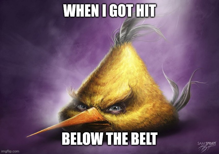 That's just sad bro | WHEN I GOT HIT; BELOW THE BELT | image tagged in realistic yellow angry bird | made w/ Imgflip meme maker