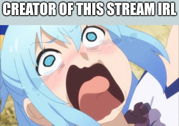 Aqua crying/screaming | CREATOR OF THIS STREAM IRL | image tagged in aqua crying/screaming | made w/ Imgflip meme maker