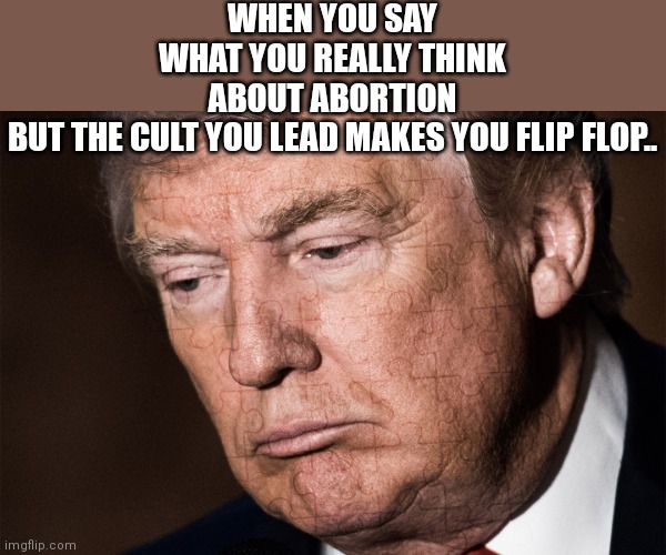 Flip flops | WHEN YOU SAY WHAT YOU REALLY THINK ABOUT ABORTION BUT THE CULT YOU LEAD MAKES YOU FLIP FLOP.. | image tagged in conservative,republicans,maga,kamala harris,abortion,trump | made w/ Imgflip meme maker