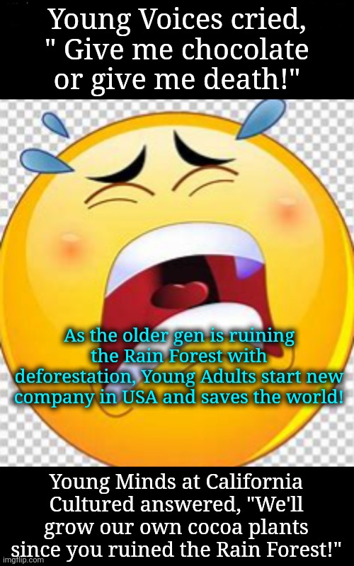 Young Minds Prevent the Extinction of Chocolate | Young Voices cried, " Give me chocolate or give me death!"; As the older gen is ruining the Rain Forest with deforestation, Young Adults start new company in USA and saves the world! Young Minds at California Cultured answered, "We'll grow our own cocoa plants since you ruined the Rain Forest!" | image tagged in chocolate,deforestation,young voices matter,macro economics | made w/ Imgflip meme maker