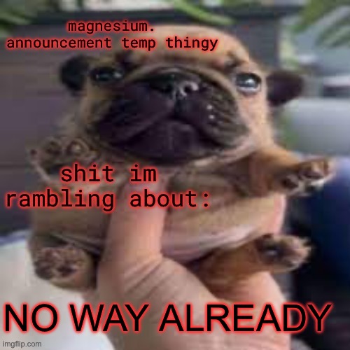 pug temp | NO WAY ALREADY | image tagged in pug temp | made w/ Imgflip meme maker