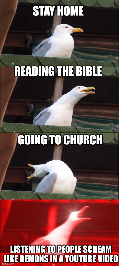 Church | STAY HOME; READING THE BIBLE; GOING TO CHURCH; LISTENING TO PEOPLE SCREAM LIKE DEMONS IN A YOUTUBE VIDEO | image tagged in memes,inhaling seagull | made w/ Imgflip meme maker