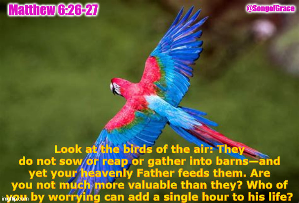 Matthew 6:26-27 | @SongofGrace; Matthew 6:26-27; Look at the birds of the air: They do not sow or reap or gather into barns—and yet your heavenly Father feeds them. Are you not much more valuable than they? Who of you by worrying can add a single hour to his life? | image tagged in biblical encouragement | made w/ Imgflip meme maker